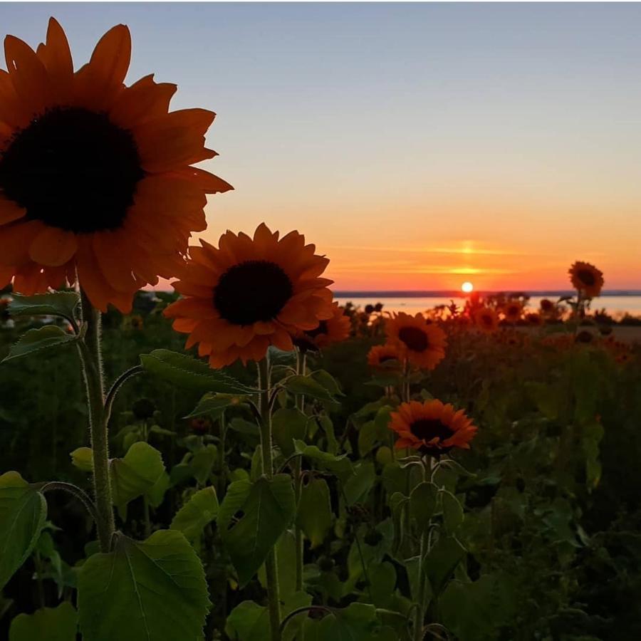 Appartamento Laegenhet Yvonne Gränna Esterno foto